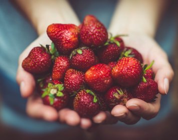 Buy organic fruit and vegetables online